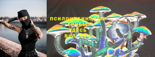 соль ск Беломорск