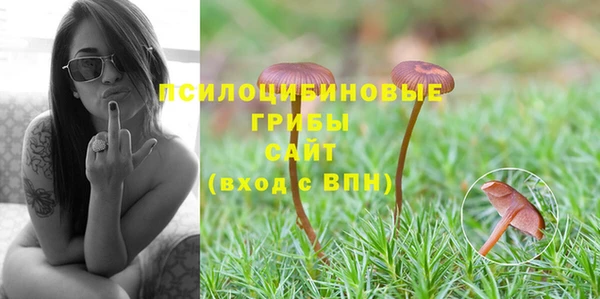 MESCALINE Белокуриха