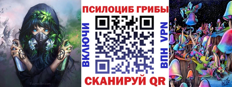 наркота  Кудымкар  гидра ССЫЛКА  Псилоцибиновые грибы MAGIC MUSHROOMS 